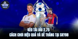 Kèo Tài Xỉu 2.75 – Cách Chơi Hiệu Quả Và Dễ Thắng Tại SKY88