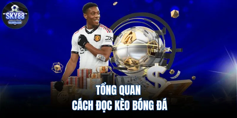 Tổng quan cách đọc kèo bóng đá
